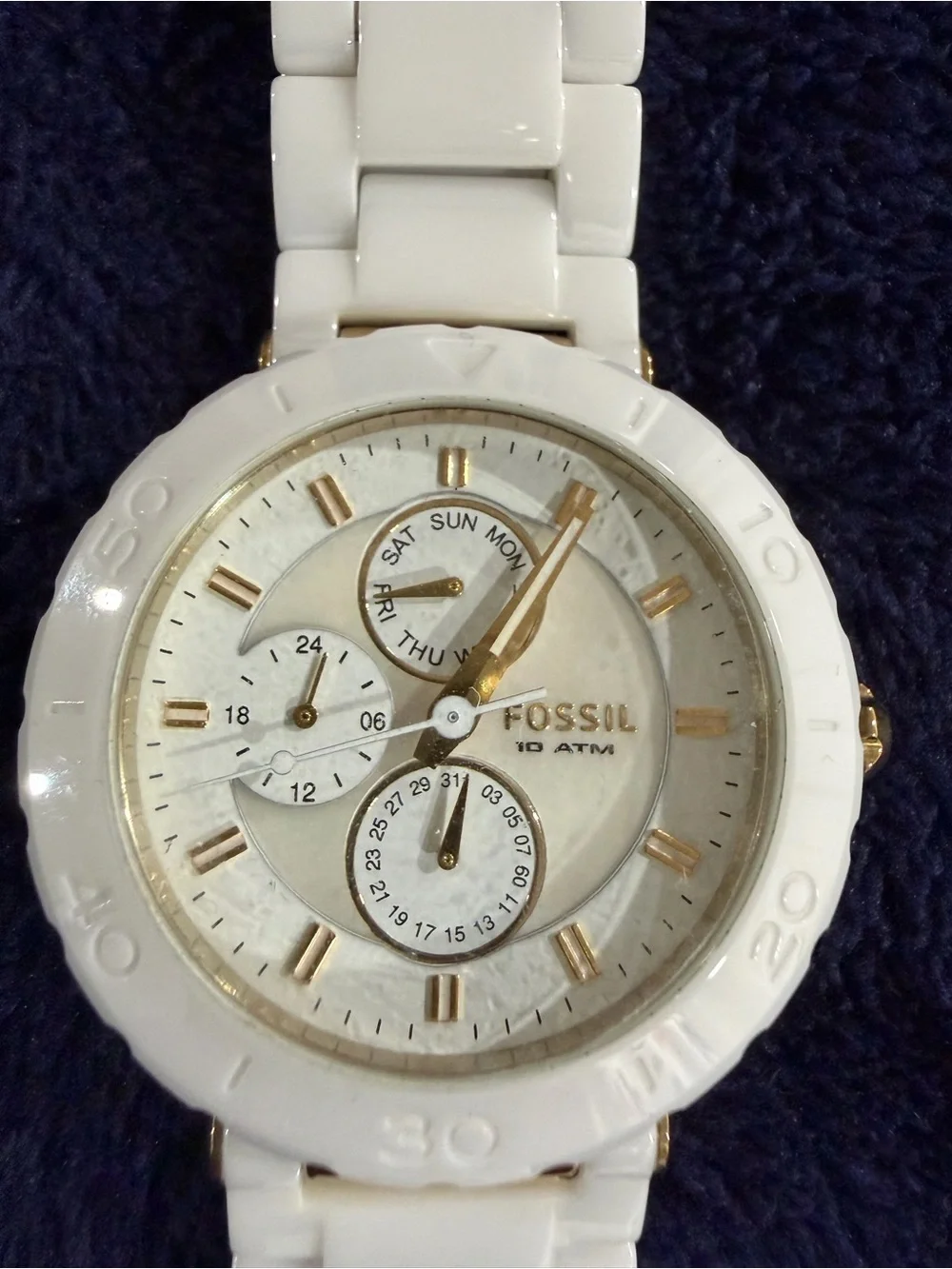 Fossil elegant cream